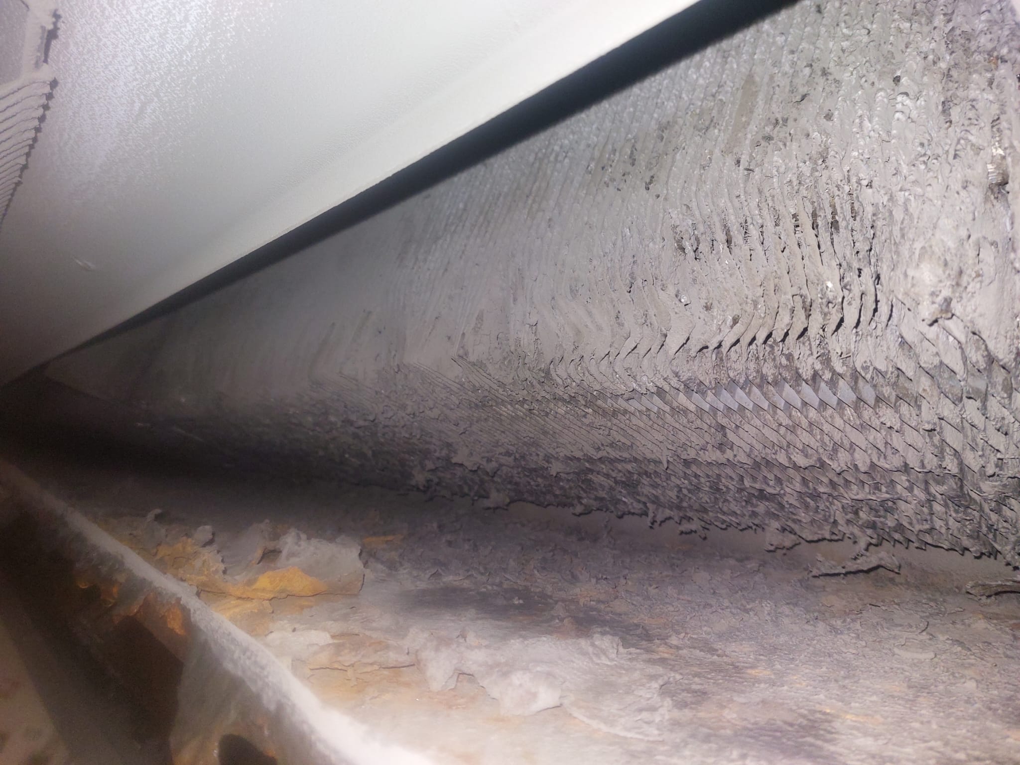 fridge.section5.images.alt1