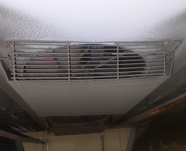 fridge.section5.images.alt2